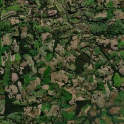 Chopinzinho Satellite Map
