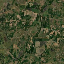 Buena Vista Satellite Map
