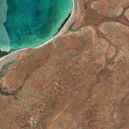 Shark Bay Satellite Map