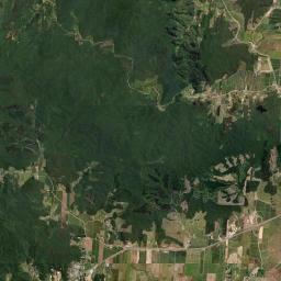 Ilhota Satellite Map