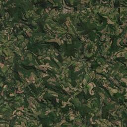 Presidente Castello Branco Satellite Map