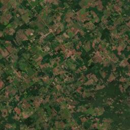 Los Helechos Satellite Map