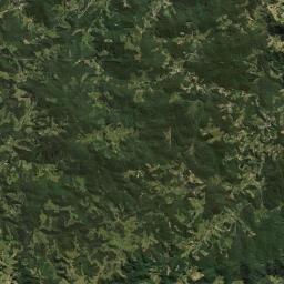 Angelina Satellite Map