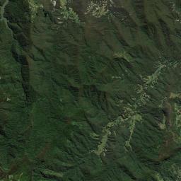 Tallebudgera Valley Satellite Map
