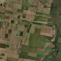 Los Laureles Satellite Map