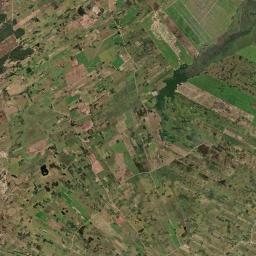 Tavares Satellite Map