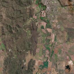 Wellington Satellite Map
