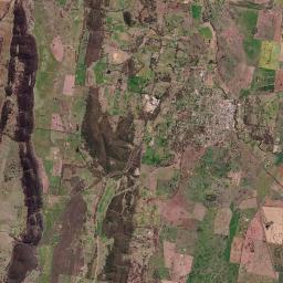 Molong Satellite Map