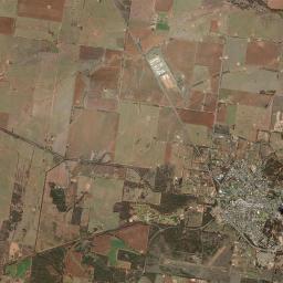 West Wyalong Satellite Map