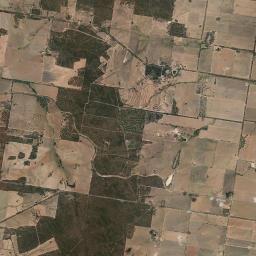Temora Municipality Satellite Map