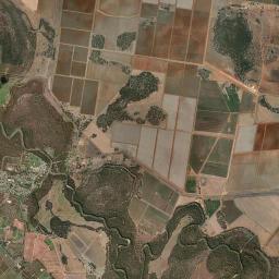 Darlington Point Satellite Map