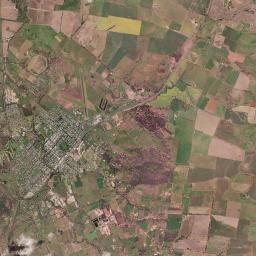 Cootamundra Satellite Map