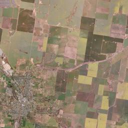 Junee Satellite Map