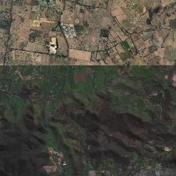 Springdale Heights Satellite Map