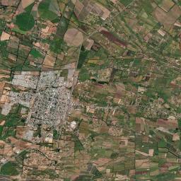 San Carlos Satellite Map