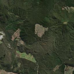 Dorset Satellite Map