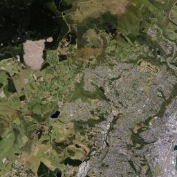 Dunedin Satellite Map