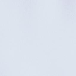 Antártica Satellite Map