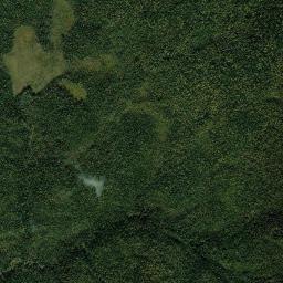 Leshukonskiy Rayon High Resolution Satellite Map