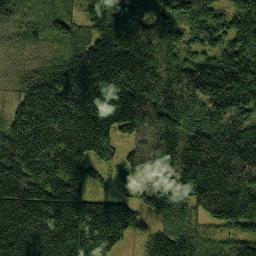 Prionezhskiy Rayon High Resolution Satellite Map