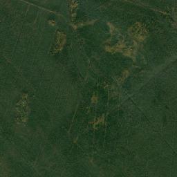 Kargopol’skiy Rayon High Resolution Satellite Map