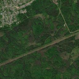 Loyga High Resolution Satellite Map