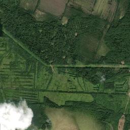 Lodeynopol’skiy Rayon High Resolution Satellite Map