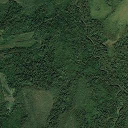 Volkhovskiy rayon High Resolution Satellite Map