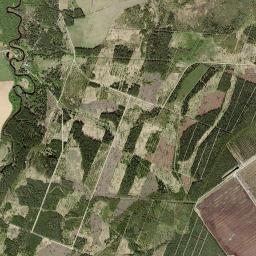 Viru-Nigula vald High Resolution Satellite Map