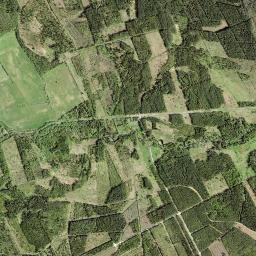 Vinni vald High Resolution Satellite Map