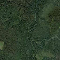 Soligalichskiy Rayon High Resolution Satellite Map