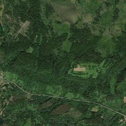 Lyubytinskiy Rayon High Resolution Satellite Map