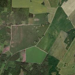 Türi vald High Resolution Satellite Map