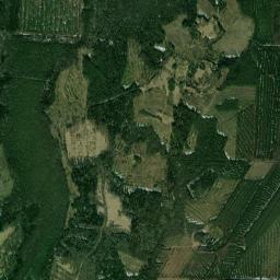 Pestovskiy Rayon High Resolution Satellite Map