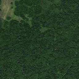 Poshekhonskiy Rayon High Resolution Satellite Map