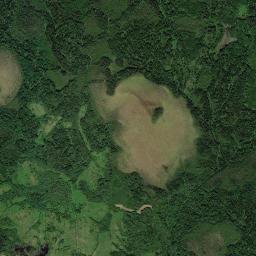 Borovichskiy Rayon High Resolution Satellite Map