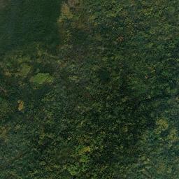 Kedrovyy High Resolution Satellite Map