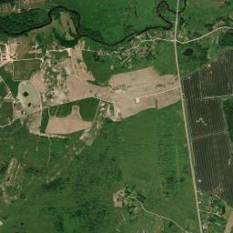 Palkinskiy Rayon High Resolution Satellite Map