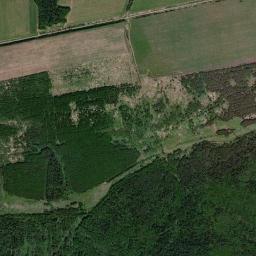 Nemskiy Rayon High Resolution Satellite Map