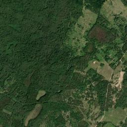 Pushkino-Gorskiy Rayon High Resolution Satellite Map