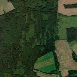 Puchezhskiy Rayon High Resolution Satellite Map