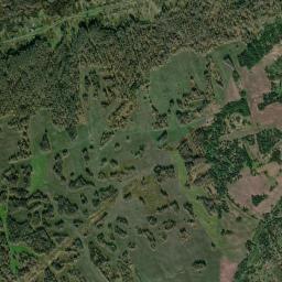 Svetlyy High Resolution Satellite Map