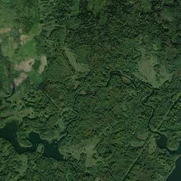 Pustoshkinskiy Rayon High Resolution Satellite Map