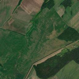 Agryzskiy Rayon High Resolution Satellite Map