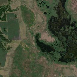 Berdyuzhskiy Rayon High Resolution Satellite Map