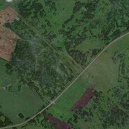 Yurginskiy Rayon High Resolution Satellite Map