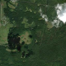 Savinskaya High Resolution Satellite Map