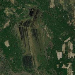 Melenkovskiy Rayon High Resolution Satellite Map