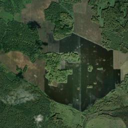 Sosnovskiy Rayon High Resolution Satellite Map