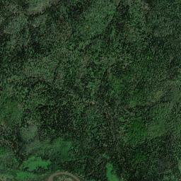 Zelenogorskiy High Resolution Satellite Map